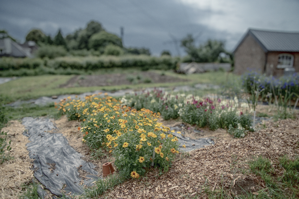 Tuintherapie 10