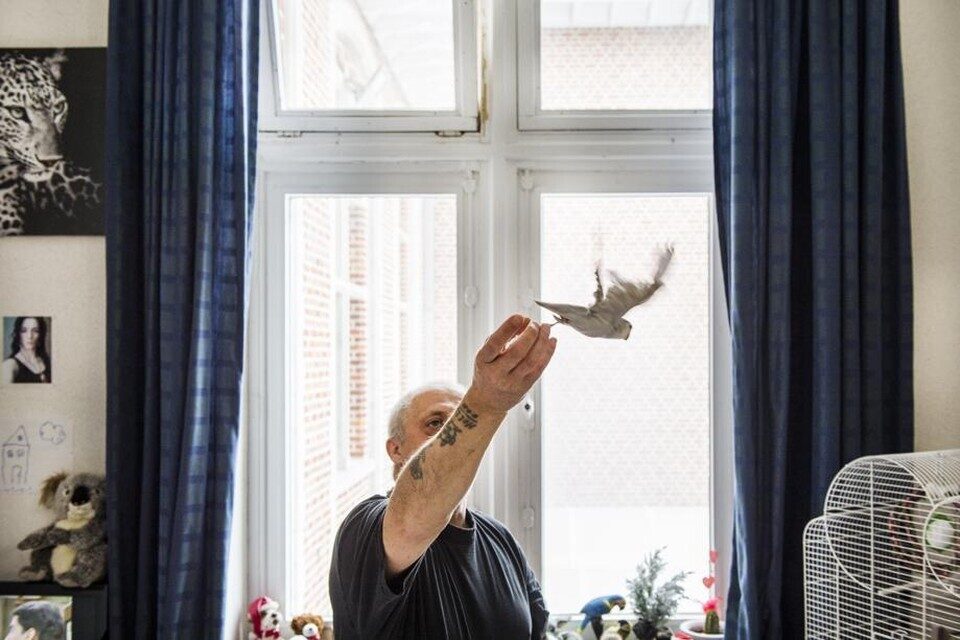 Sint Kamillus Bierbeek